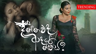 Dannawada Adare Neethiya  දන්නවද ආදරේ නීතිය  Abhisheka Wimalaweera  Official Music Video [upl. by Lalittah]