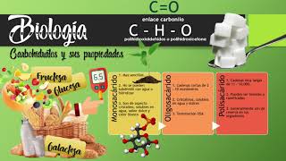 5 Biologia  Agua y Carbohidratos [upl. by Nylhsoj62]