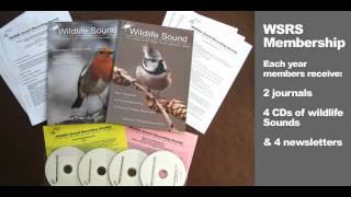 Wildlife Sound Recording Society [upl. by Edelman]