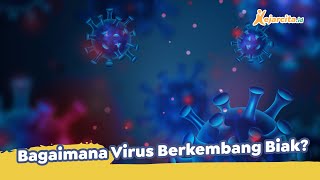 Bagaimana Virus Berkembang Biak  Contoh Soal Materi Cara Hidup dan Reproduksi Virus  Biologi SMA [upl. by Eelaroc453]