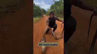 A mans attempt to catch a 20footlong snake on the road  20 Feet Snake shortsfeed viralshorts [upl. by Seebeck843]