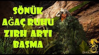 Black Desert Tr Sönük Ağaç Ruhu Boss Zırhı Artı Basma  Hedef Tri [upl. by Fleeman]