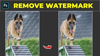 Easy ways to remove watermark  Photoshop Tutorial [upl. by Aisor893]