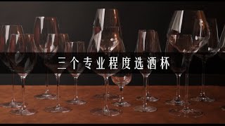 How to choose a wine glass in 3 levels of expertise 三个专业程度选葡萄酒杯 [upl. by Elak]