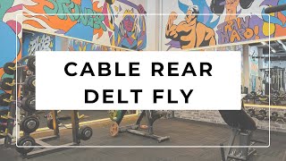 CABLE REAR DELT FLY [upl. by Noyk]