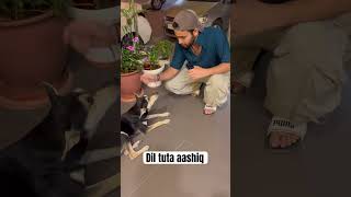 AB TU GYI BETA 💔 funny comedyvideos [upl. by Zetnwahs335]