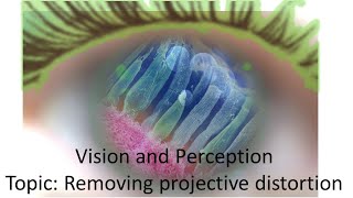 Vision amp Perception Removing projective distortion [upl. by Ahcsropal]