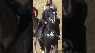 𝐌𝐚𝐬𝐡𝐡𝐮𝐫 𝐀𝐝𝐢𝐝𝐚𝐬 🦅 alisher24 qashqirlarmakonipistirma rek alisher horse automobile [upl. by Nannah]