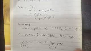 Bioenergetics I MDCAT 2024 I Important Points for MCQs by Dr Muhammad Saquib Qureshi [upl. by Ainnek]