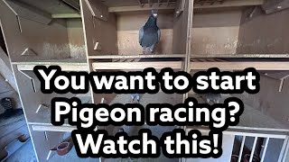 Get Ready to Win with These Easy PIGEON RACING Tips [upl. by Sualkcin476]