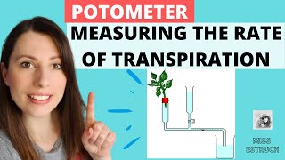 Potometer Experiment  Measuring the rate of transpiration Alevel Biology Experiment [upl. by Nalad]