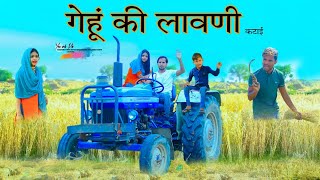 गेहूं की लावणी  HAKKU SINGARIYA [upl. by Nekal]