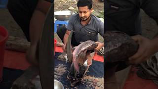 amazing Katol fish fishingvideo fishcuting fish fishcooking youtubeshorts fishing fishcutting [upl. by Dremann]