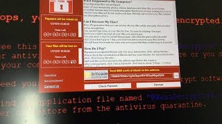 What happens when you run quotWannaCryquot Ransomware in Windows 10 [upl. by Notsyrb]