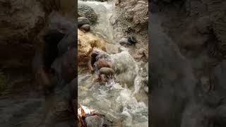 Relaxing Flowing Water nature water watersounds freshwater [upl. by Koran]