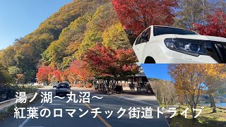 湯ノ湖～丸沼～紅葉のロマンチック街道ドライブ [upl. by Jard388]