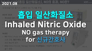 Inhaled Nitric Oxide 흡입 일산화질소 for 신규간호사 No gas therapy NOA [upl. by Saraann732]