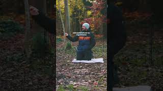 Hunde vermenschlichen hundeerziehung hundetraining [upl. by Anaeco]