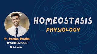 Homeostasis  Mechanisms of Homeostasis English  White Apron  ft Partho Protim [upl. by Asinet681]