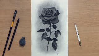 Charcoal Drawing of a Rose [upl. by Cordie]