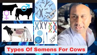 Dairy Farming Types of Semens for cows [upl. by Nwahc]