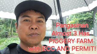 vlog 561 PIGGERY FARM WITH ECC AND PERMIT 2024ALMOST 3 HAS WITH MANGOFARM [upl. by Asimaj]