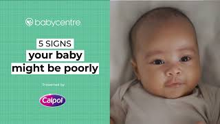 5 signs your baby might be poorly  Sponsored by CALPOL® [upl. by Alysa891]