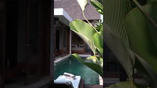 Discover the serenity or our one bedroom private pool villa [upl. by Dee Dee]