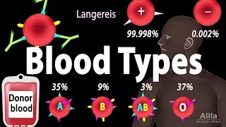 Blood Types Blood Group Systems and Transfusion Rule Animation [upl. by Eedolem369]