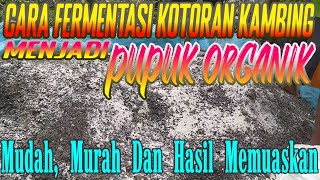 CARA FERMENTASI KOTORAN KAMBING JADI PUPUK ORGANIK SERBA GUNA  Membuat Pupuk Organik Maksimal [upl. by Lletram614]