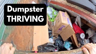 Buy Nothing and get what i need from Dumpster Diving [upl. by Monroy]