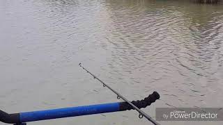 UK angling few hours at old oak farm fishery [upl. by Carnes]