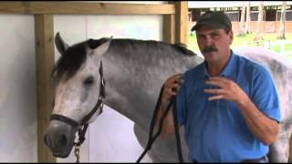 Dressage Movements Revealed Video The Value of Bodywork [upl. by Ela]