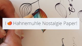 Hahnemuhle Nostalgie  Different inks Review 0202 [upl. by Damian]