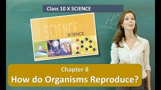 How do Organisms Reproduce CLASS 10 SCIENCE NCERT CHAPTER 8 [upl. by Oina]