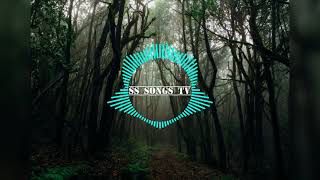 Kina can we kiss forever slowed reverb Ringtone SS SONGS TV [upl. by Ereynihc]