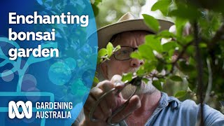 Discovering the Beauty of Bonsai with James Millar  My Garden Path  Gardening Australia [upl. by Nawaj]