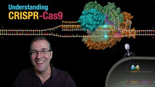 Understanding CRISPRCas9 [upl. by Gilges]