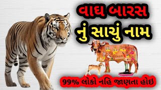 વાઘ બારસનું સાચું નામ vaghBaras2024Diwali2024vastuShastraGujrati ચોપડાપૂજનમુહુર્ત [upl. by Aihtniroc]