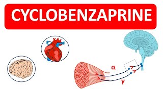 Cyclobenzaprine Tablets as Muscle Relaxant [upl. by Hay]