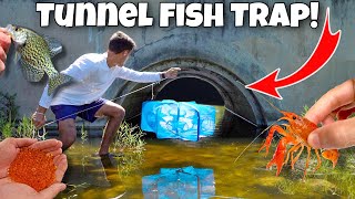 FISH TRAP Catches CREEPY CREATURES In HIDDEN TUNNEL [upl. by Aihpledalihp]