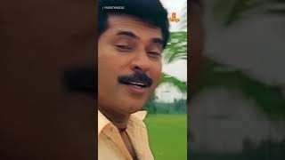 MaadathaKili  Vajram  Mammootty  Ouseppachan  K J Yesudas Vyloppilli [upl. by Nnylireg434]