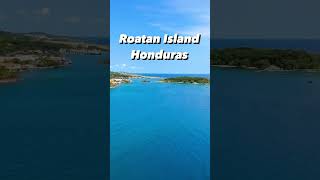 Day of fun Ziplining in Stunning Roatan Island Honduras roatanhonduras ziplining cruisetravel [upl. by Ettevets]