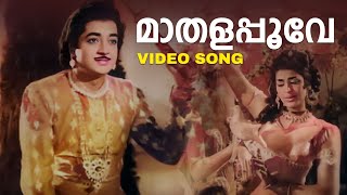 Maathalapoove Video Song  Anarkali  P Susheela  MS Baburaj  Vayalar [upl. by Liesa426]