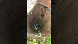 All Septic Systems Should Have A Safety Lid Especially Deep Tanks plumbing realestate shorts [upl. by Laamaj]