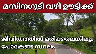 മസിനഗുടി വഴി ഊട്ടിയിലേക്കൊരു സ്വർഗീയ യാത്ര  Masinagudi tourist places  Masinagudi ootty [upl. by Revlys993]