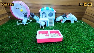 Cat TV  Mice in The Jerry Mouse Hole 🐭 10 HOURS 4K 🐭 Videos for Cats [upl. by Neitsirk]