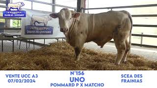 N°156 UNO  SCEA DES FRAINIAS  POMMARD P x MATCHO [upl. by Tnahsin221]