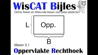 Oppervlakte Rechthoek  WisCAT Werkboek Meten 31 [upl. by Ecydnac567]