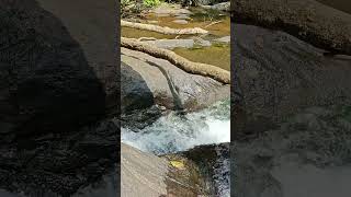 Cauvery Kaveri River Stream near Chelavara Waterfall Coorg [upl. by Ybroc]